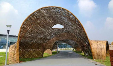 湖北武汉市：农业嘉年华 竹景观
