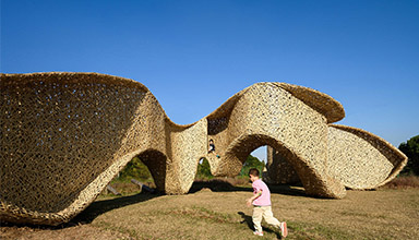 上海崇明岛：竹岚  竹景观