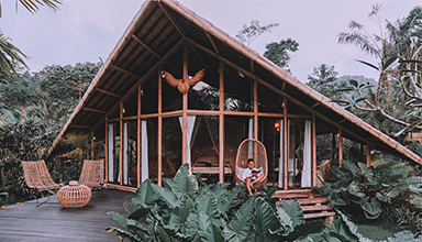 美国 洛杉矶：藏鹰竹屋 竹建筑